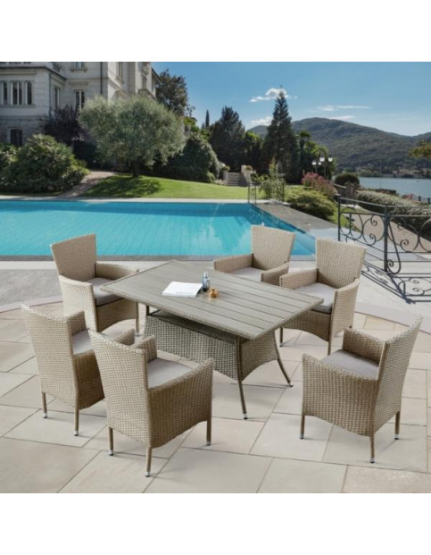 Обеденный комплект из искусственного ротанга AFM-195-6Pcs-Beige Обеденный комплект из искусственного ротанга AFM-195-6Pcs-Beige
